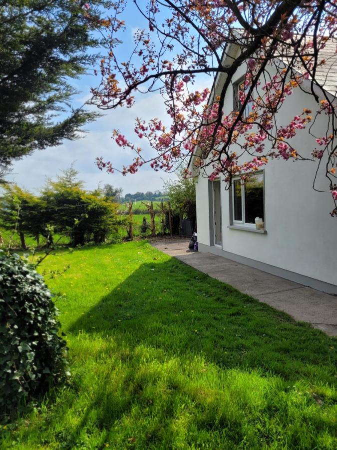 Beechwood House ,Apartment C15Ya44 Slane Esterno foto