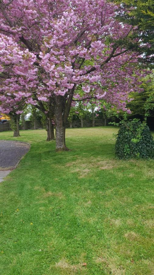 Beechwood House ,Apartment C15Ya44 Slane Esterno foto