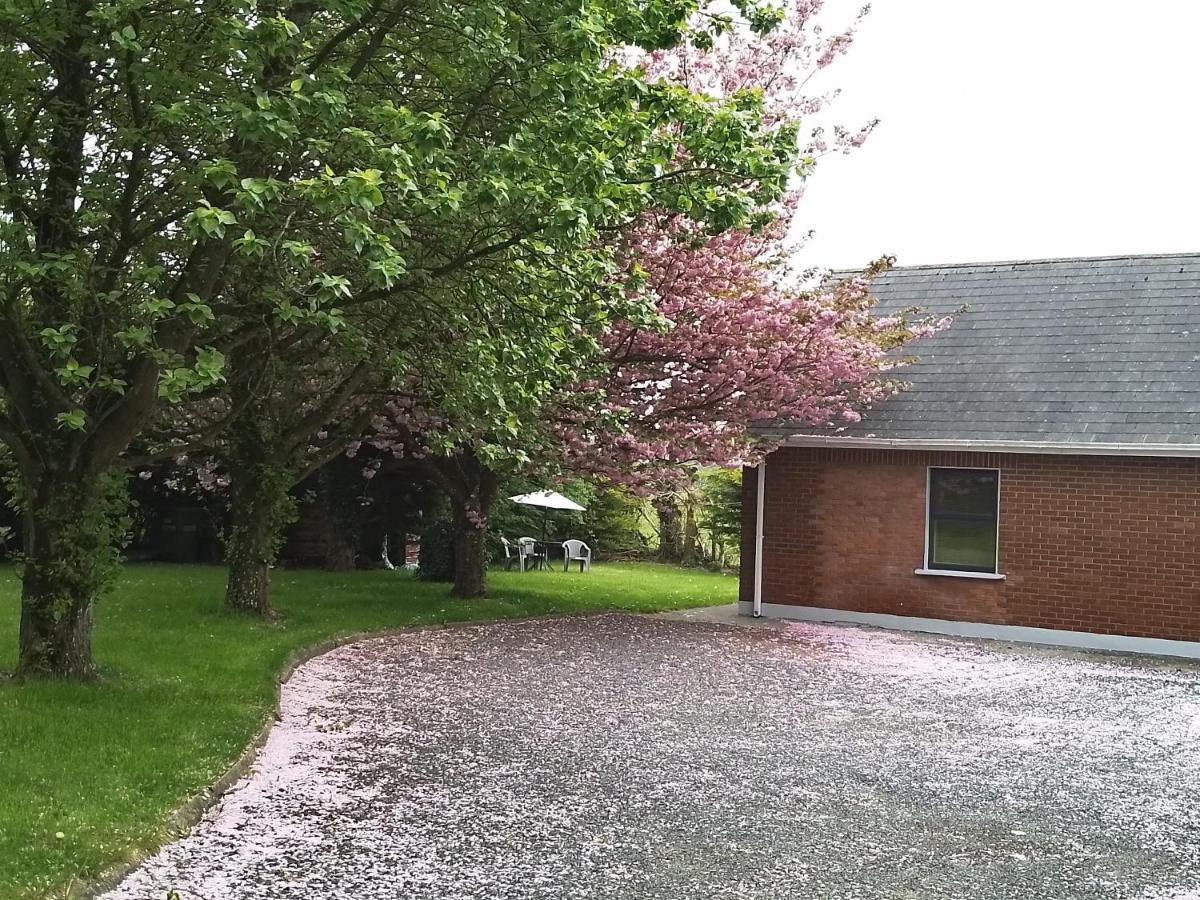 Beechwood House ,Apartment C15Ya44 Slane Esterno foto